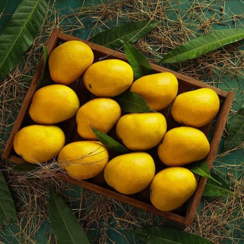 A wooden crate of Alphonso mangoes on dry grass