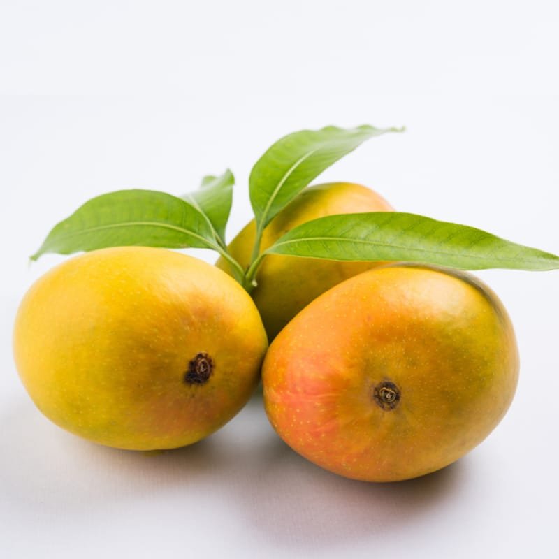 Two fully ripe Alphonso mangoes with leaves